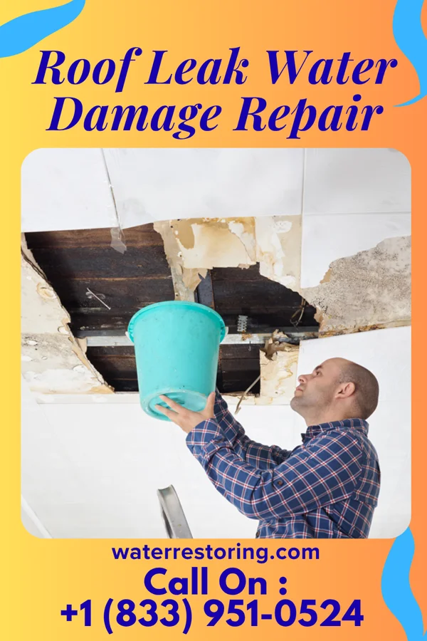 Roof Leak Water Damage Repair in Highland Haven, TX